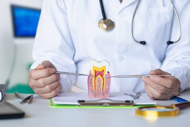 Best Pediatric Emergency Dentist in Woodland, WA